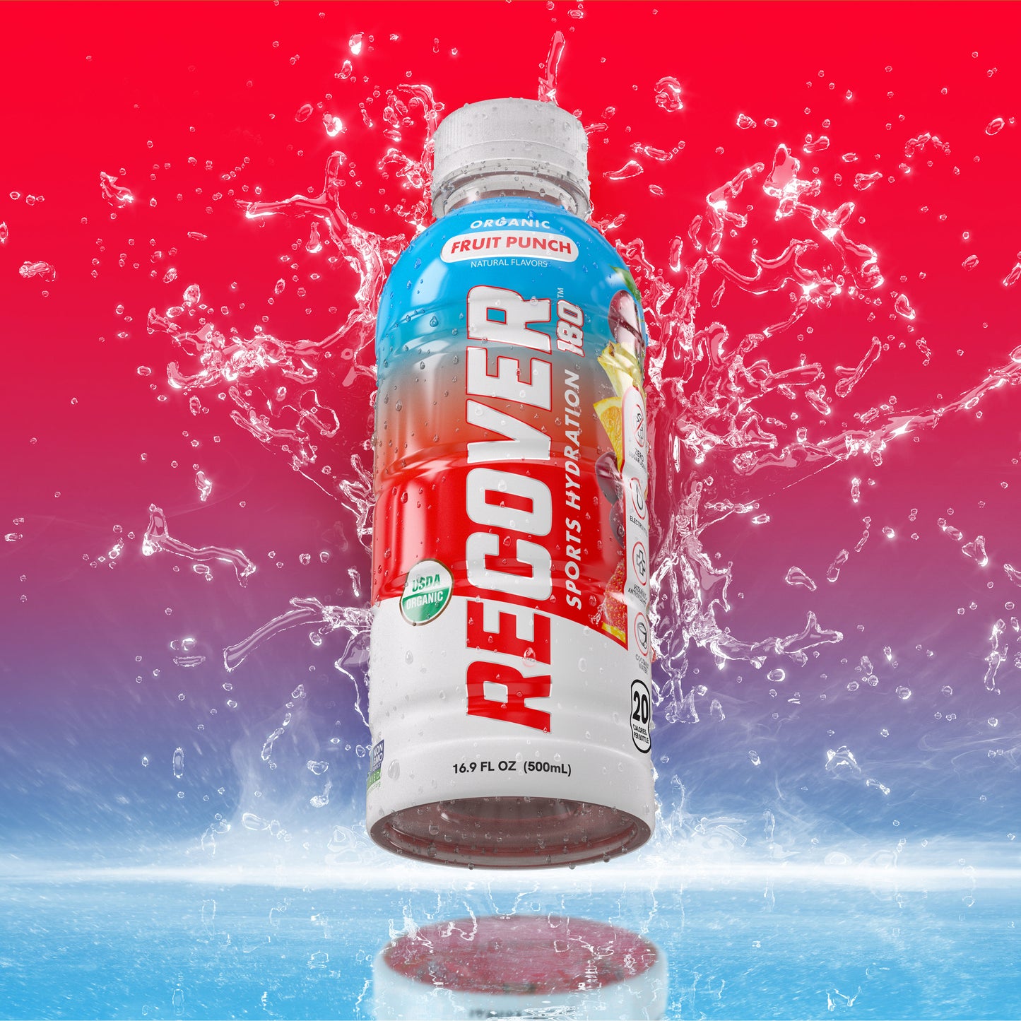 Fruit Punch (16.9 oz - Pack of 12)