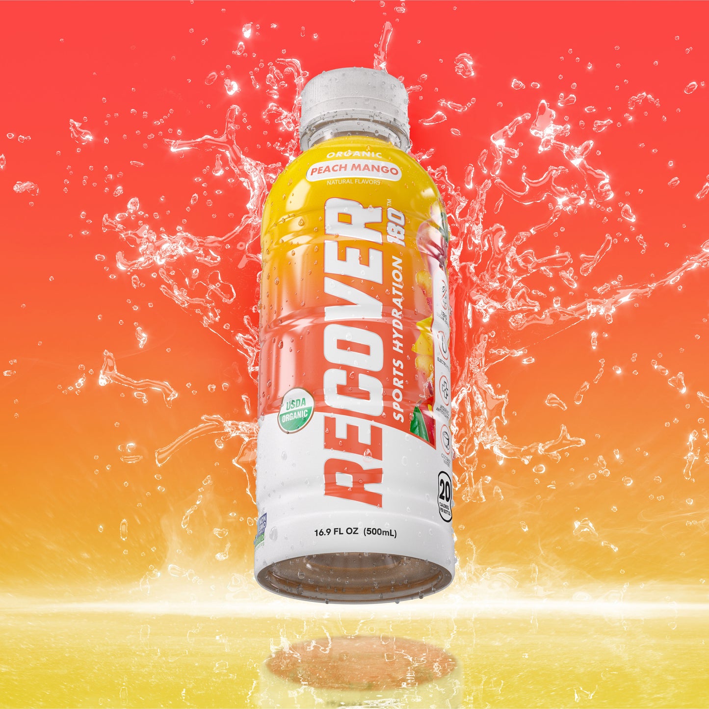 Peach Mango (16.9 oz - Pack of 12)